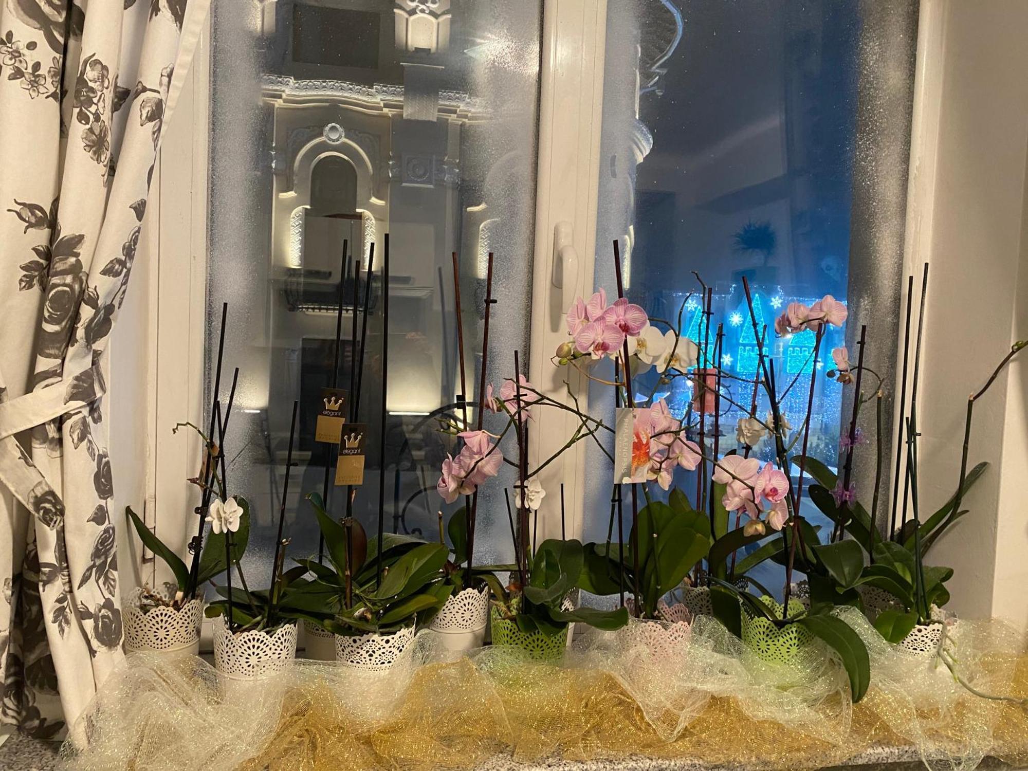 Blue Light Ultracentral クラヨーヴァ エクステリア 写真